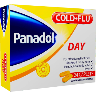 PANADOL COLD & FLU DAY 24 CAP