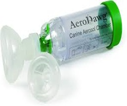 DR WELL INHALATION CHAMBER S 0-18