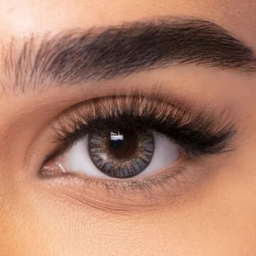FRESHLOOK MONTHLY LENSES GRAY