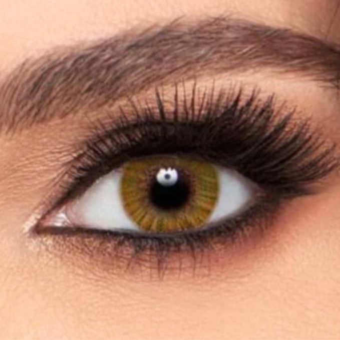FRESHLOOK MONTHLY LENSES HONEY