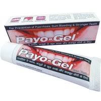 HERBODENT PAYO-GEL 20GM